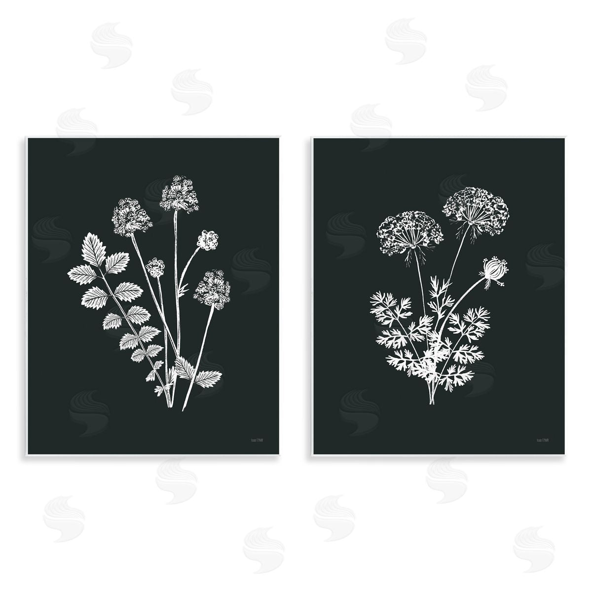 House Fenway Black and White Flower Cluster  Wooden Wall Plaque Art Print
