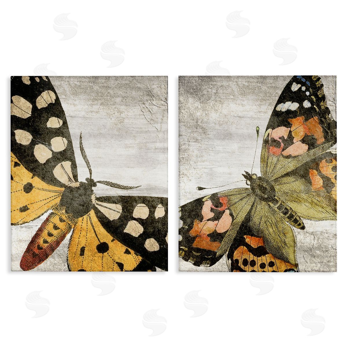 Kim Allen Vintage Spotted butterflies  Canvas Wall Art Print