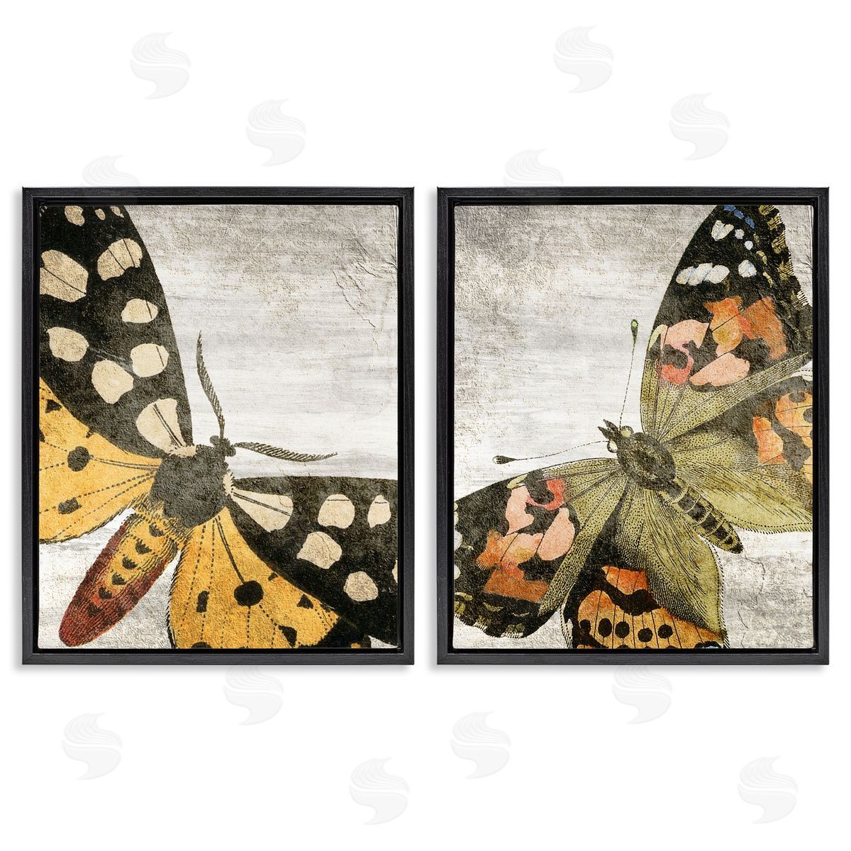 Kim Allen Vintage Spotted butterflies  Black Floating Frame Canvas Wall Art Print