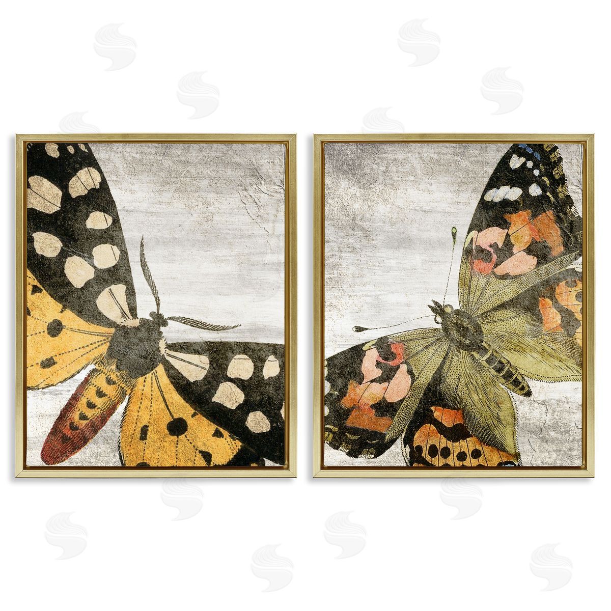 Kim Allen Vintage Spotted butterflies  Gold Floating Frame Canvas Wall Art Print