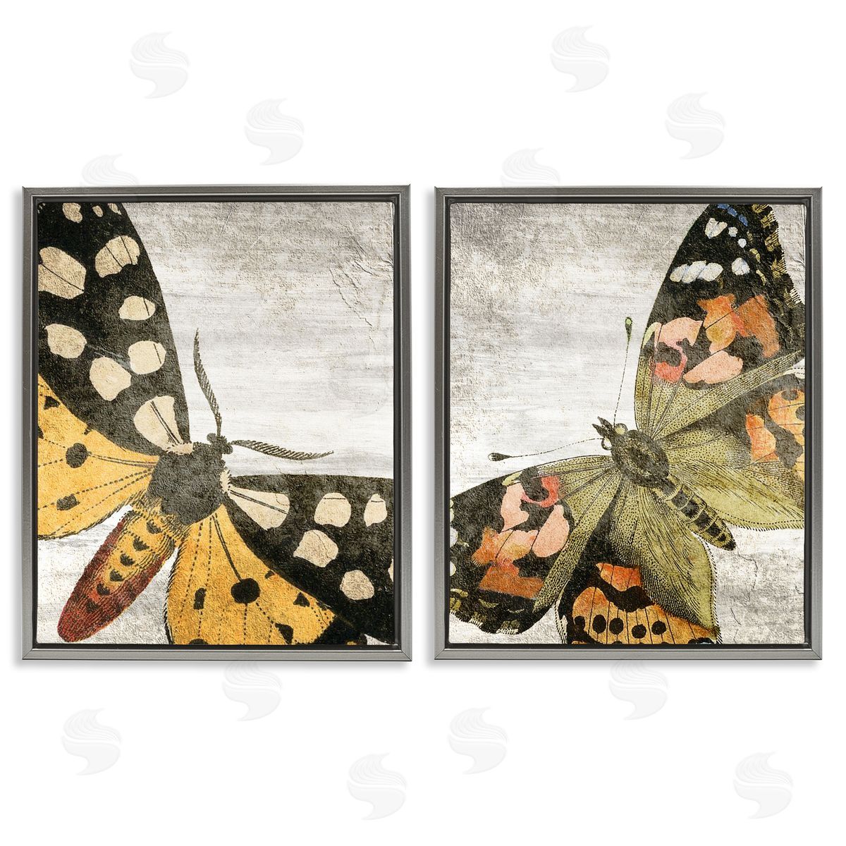 Kim Allen Vintage Spotted butterflies  Gray Floating Frame Canvas Wall Art Print