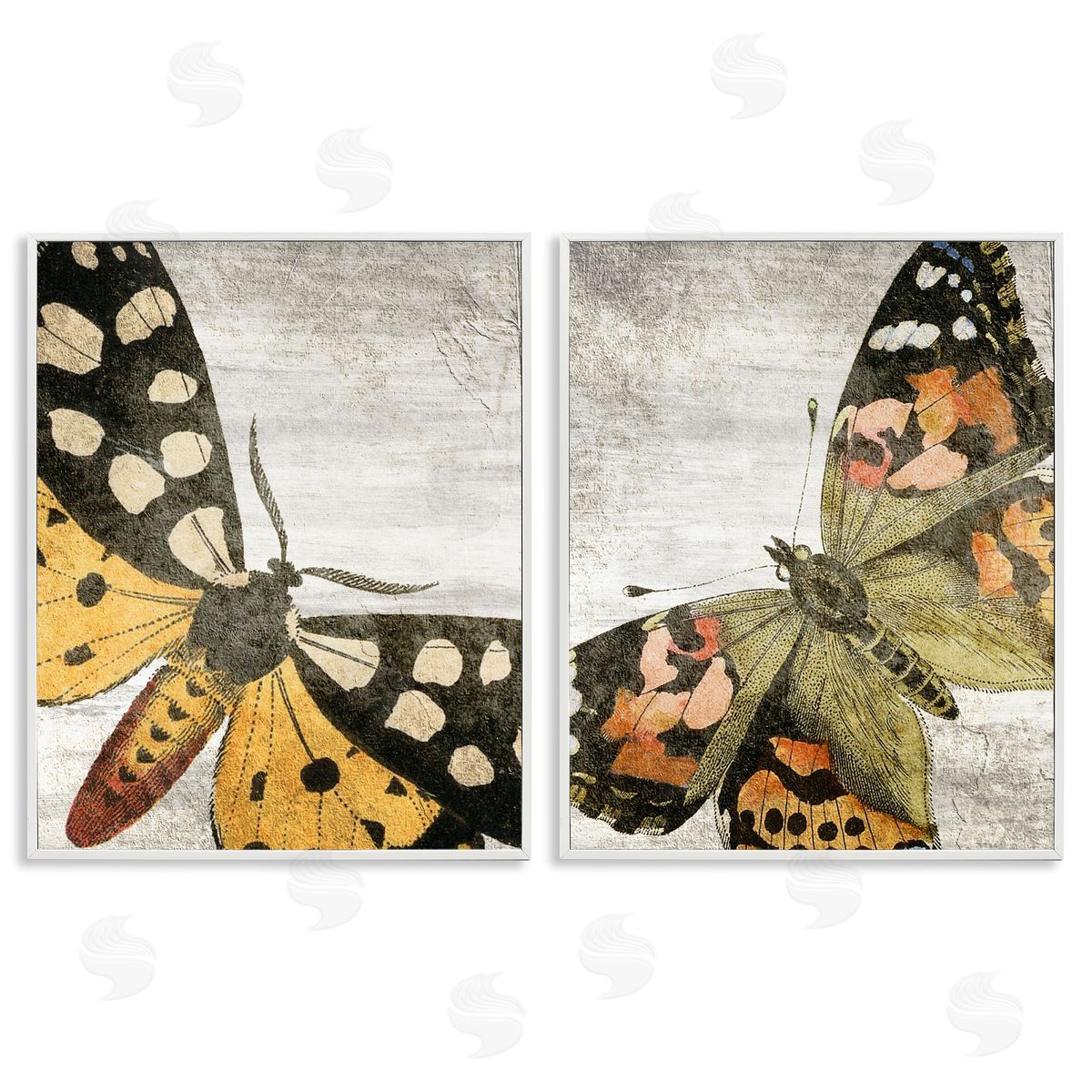 Kim Allen Vintage Spotted butterflies  White Framed Giclee Wall Art Print