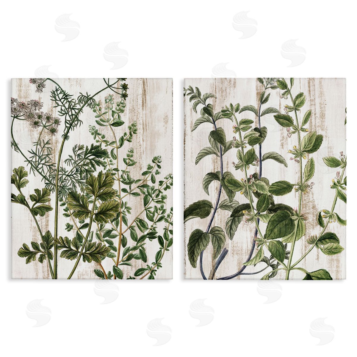 Kim Allen Aged Botanical Leaves  Canvas Wall Art Print