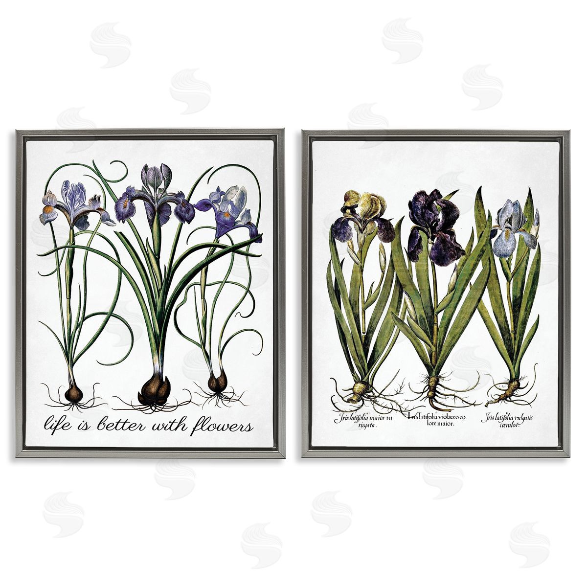 Lettered and Lined Better with Flowers Iris Bulb Gray Floating Frame Canvas Wall Art Print