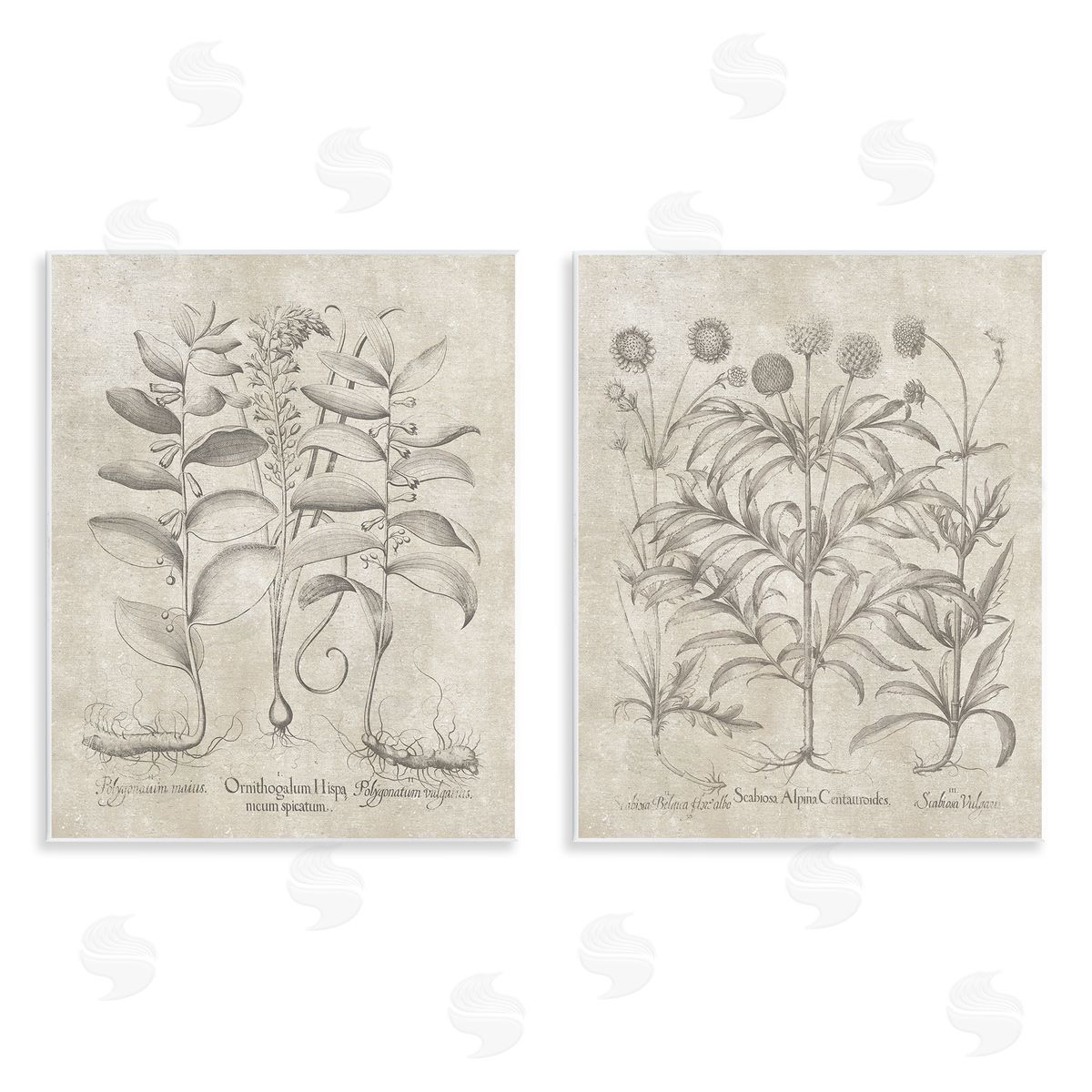 Lettered and Lined Soft Botanical Study  Wooden Wall Plaque Art Print