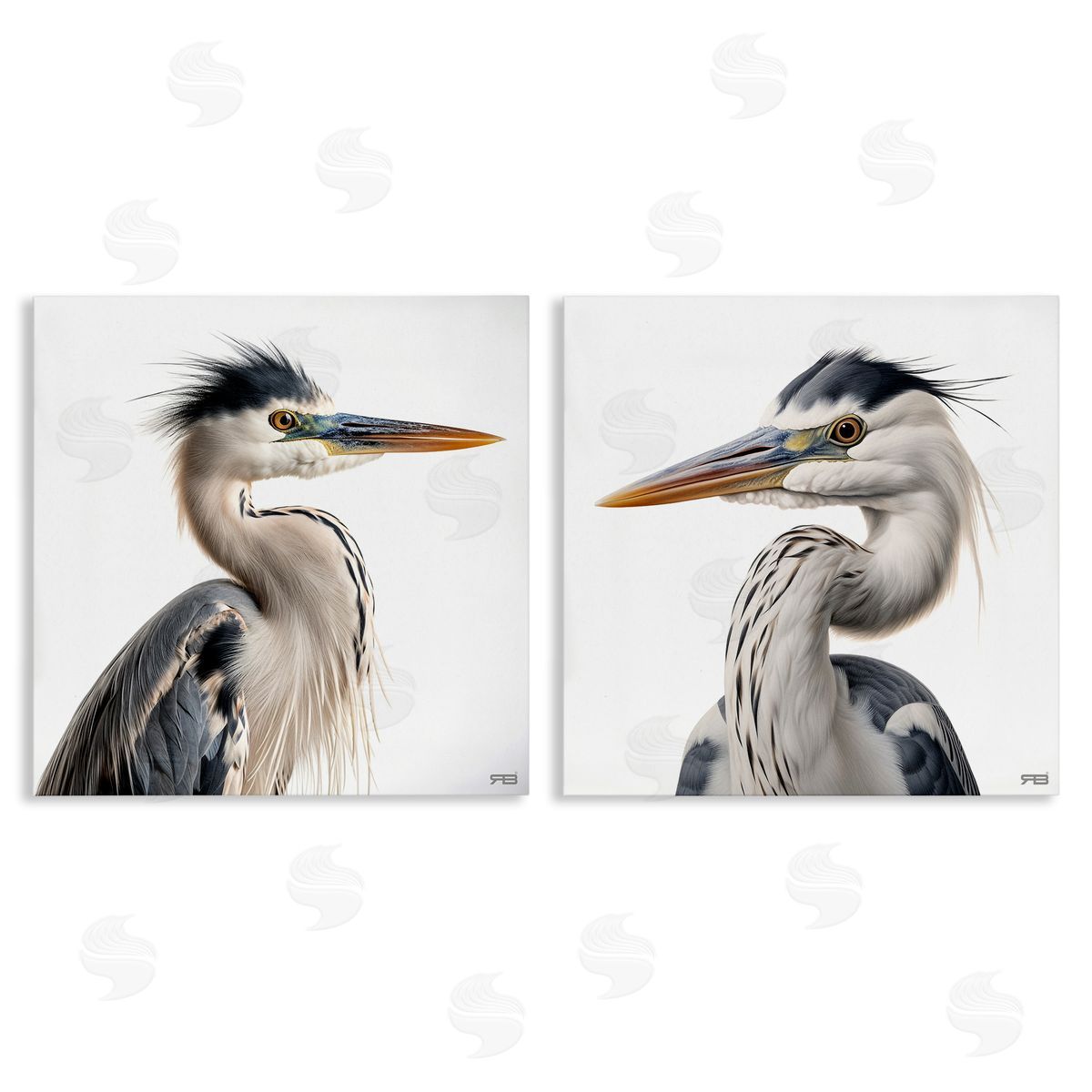 RB Young Heron Birds Canvas Wall Art Print