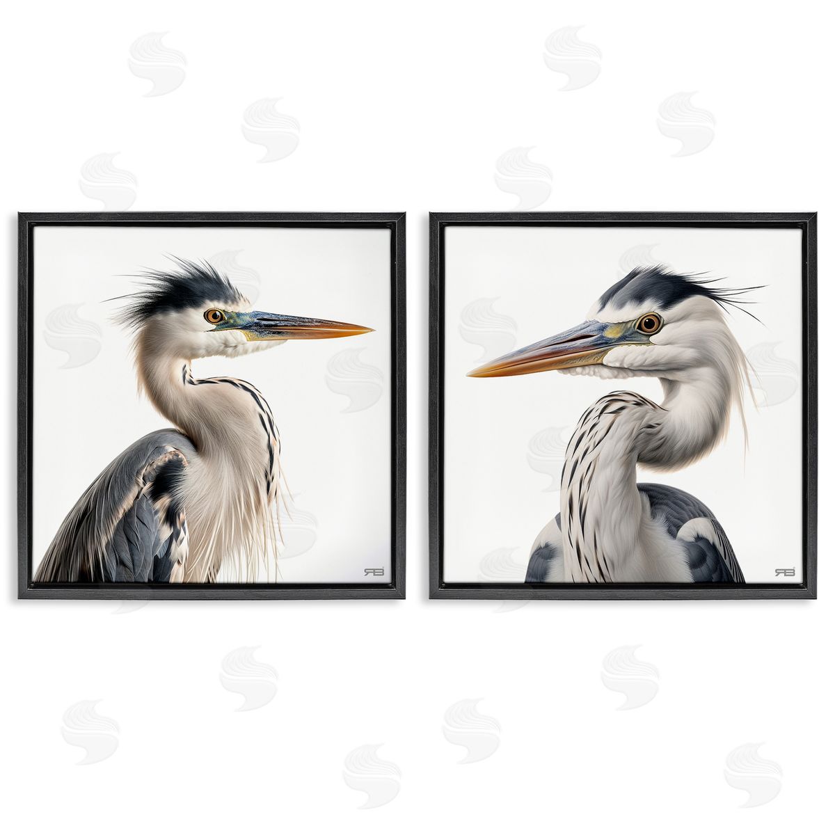 RB Young Heron Birds Black Floating Frame Canvas Wall Art Print