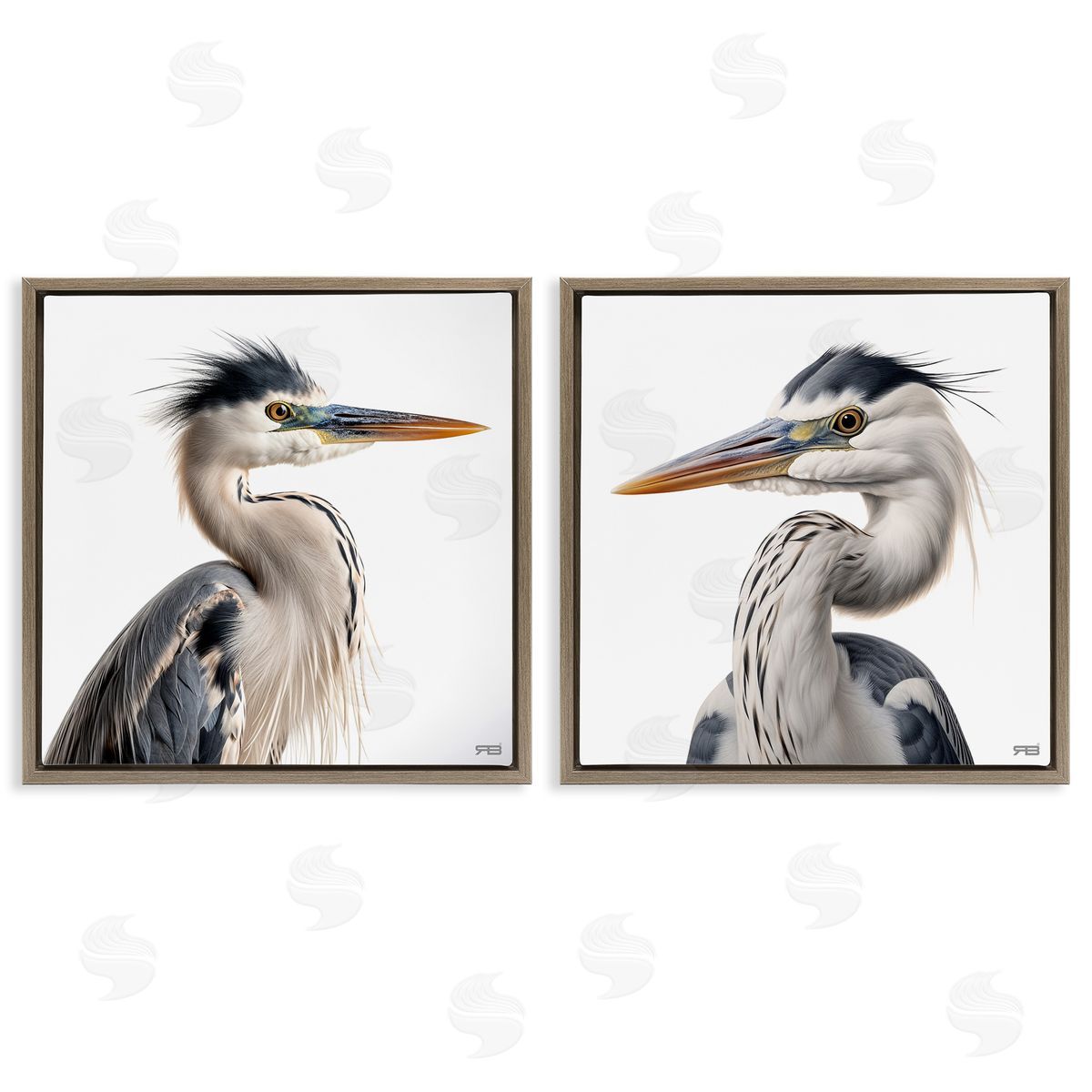 RB Young Heron Birds Brown Floating Frame Canvas Wall Art Print