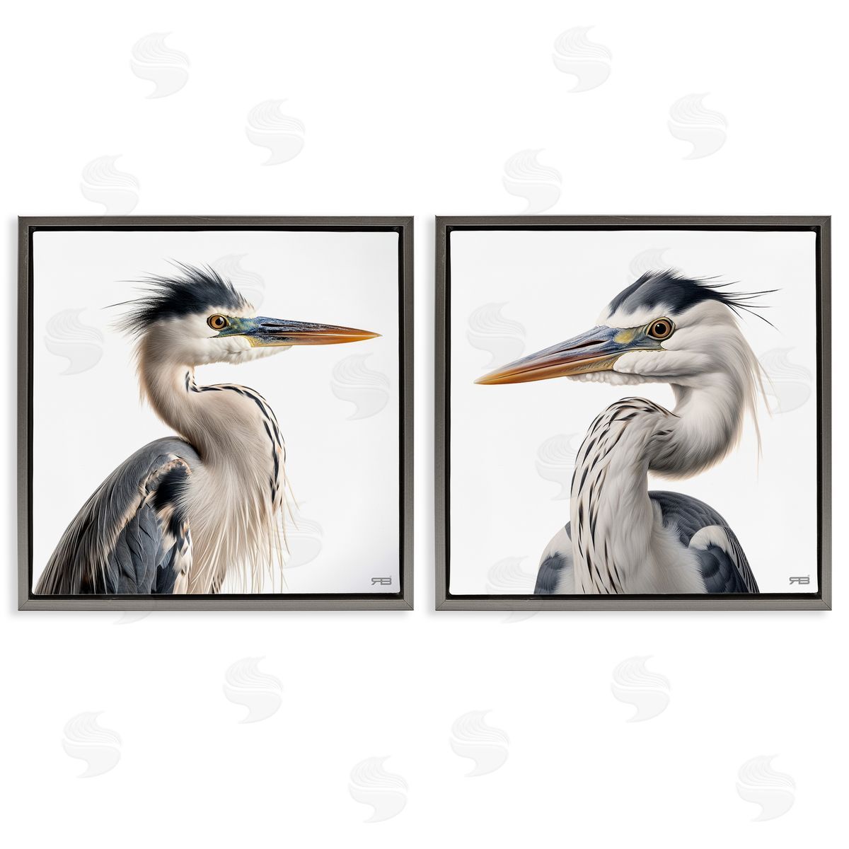 RB Young Heron Birds Gray Floating Frame Canvas Wall Art Print