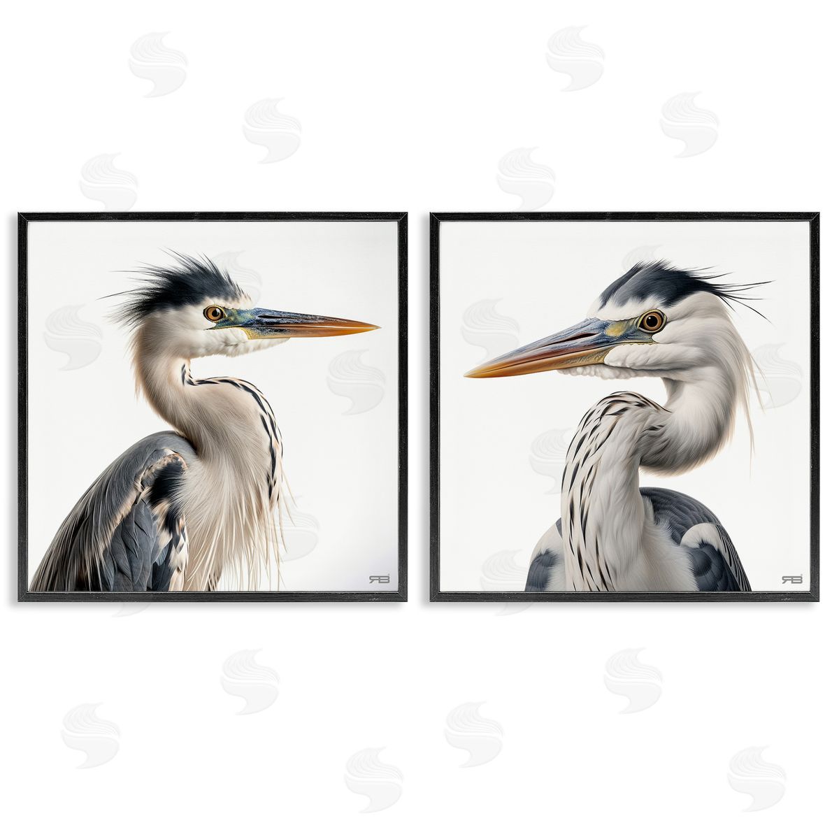 RB Young Heron Birds Black Framed Giclee Wall Art Print