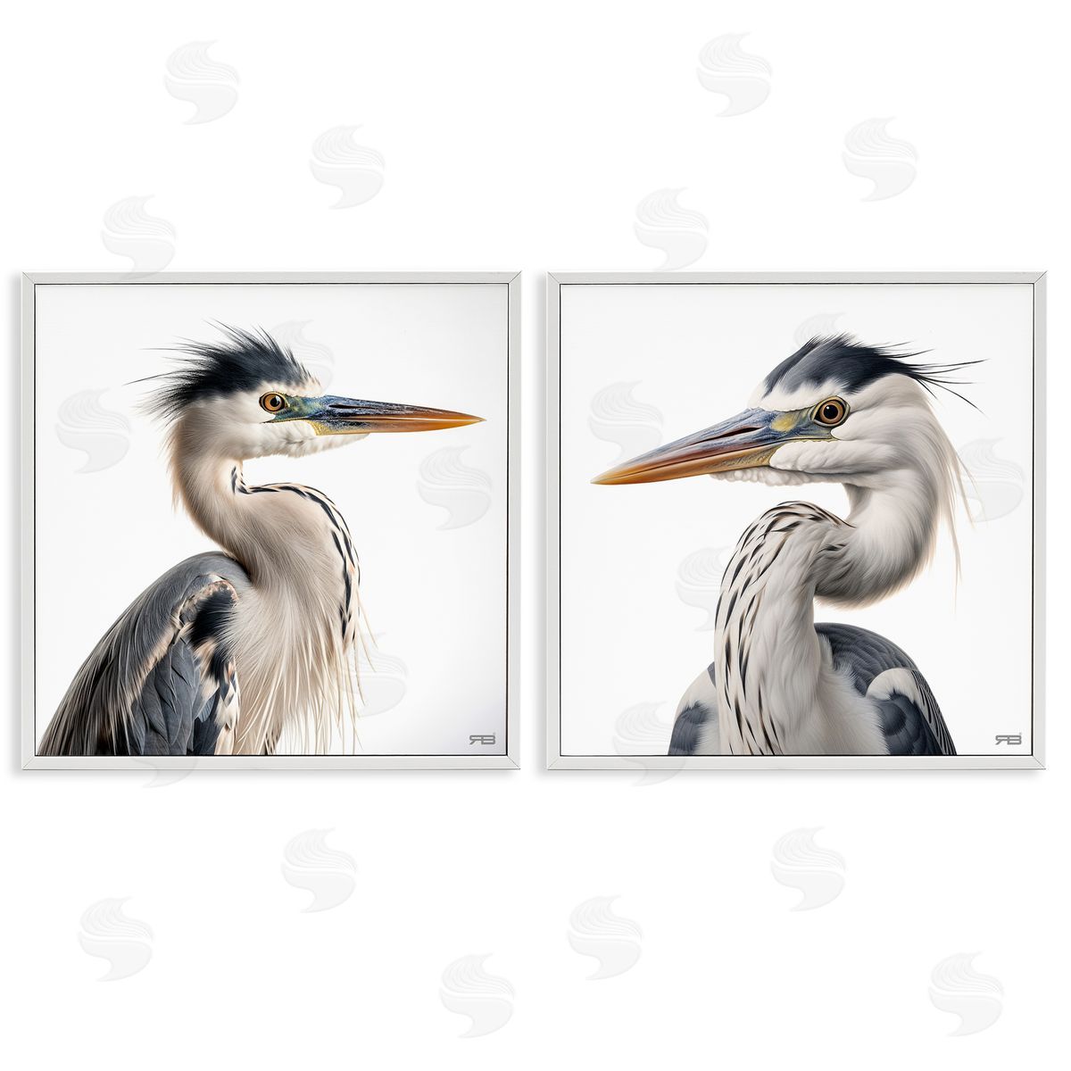 RB Young Heron Birds White Framed Giclee Wall Art Print