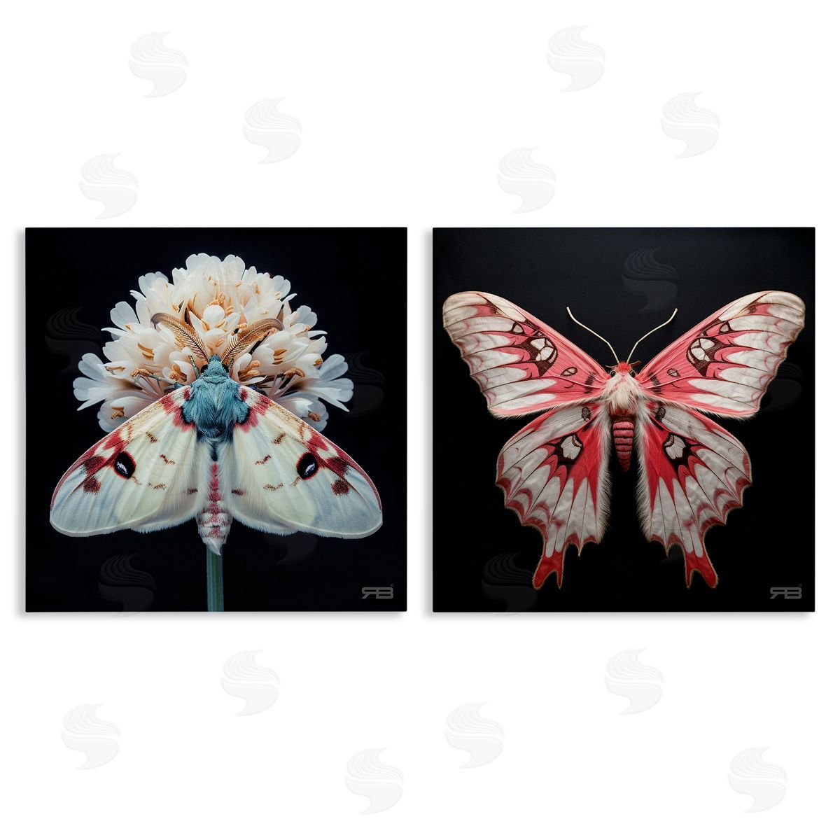RB Detailed Pink Moths Flower Canvas Wall Art Print