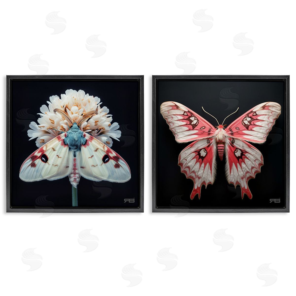 RB Detailed Pink Moths Flower Black Floating Frame Canvas Wall Art Print