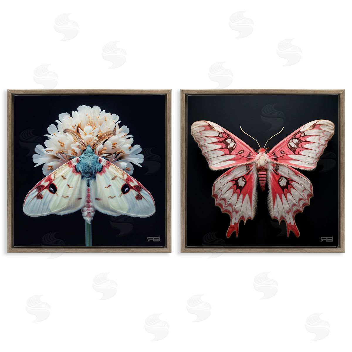 RB Detailed Pink Moths Flower Brown Floating Frame Canvas Wall Art Print