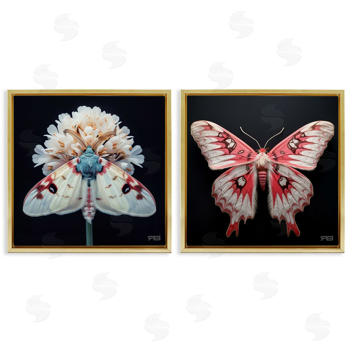 RB Detailed Pink Moths Flower Gold Floating Frame Canvas Wall Art Print