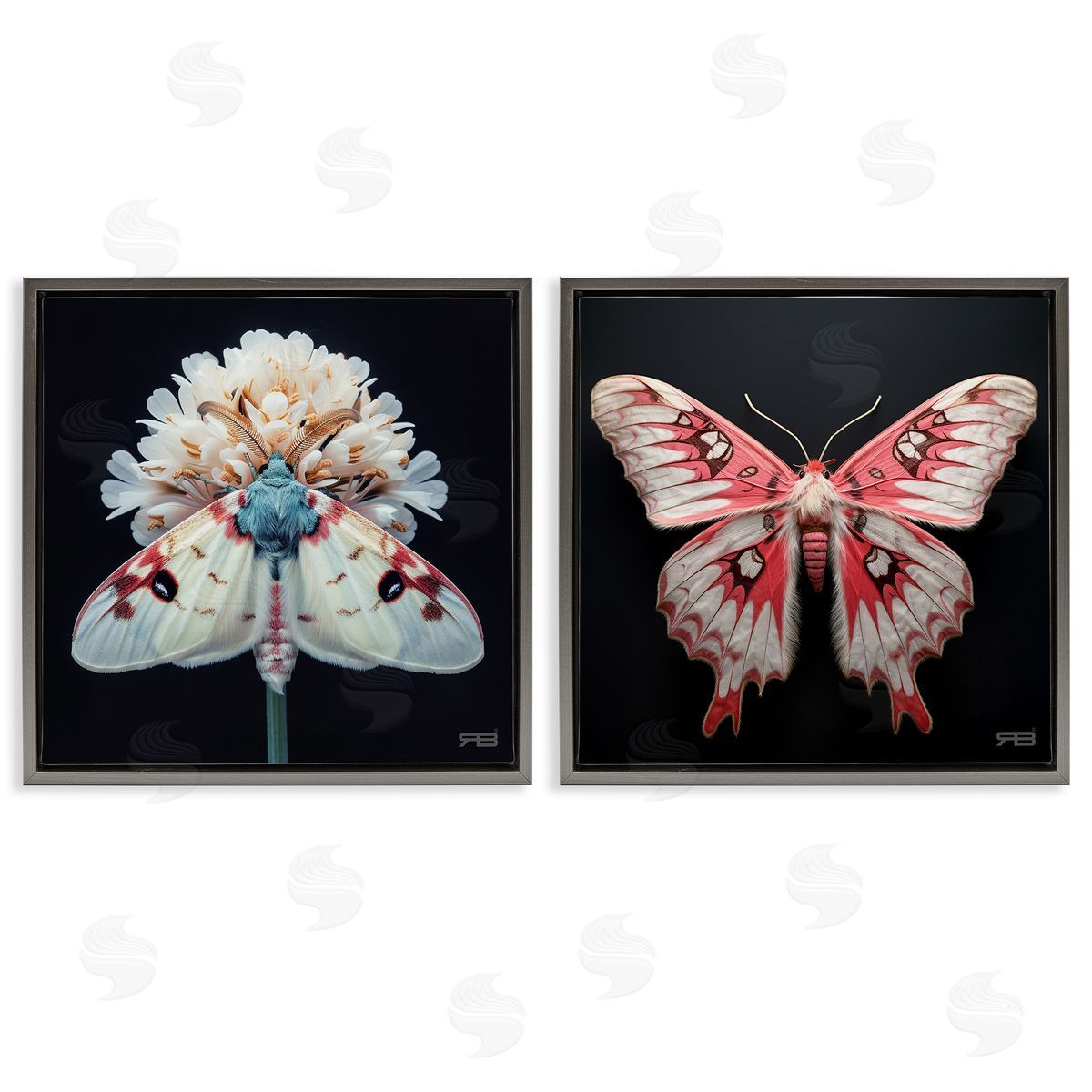RB Detailed Pink Moths Flower Gray Floating Frame Canvas Wall Art Print