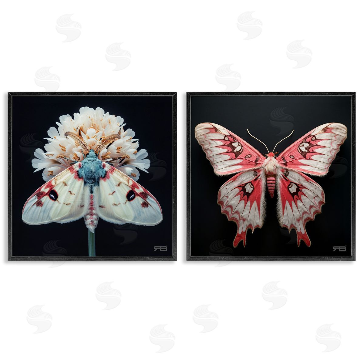 RB Detailed Pink Moths Flower Black Framed Giclee Wall Art Print