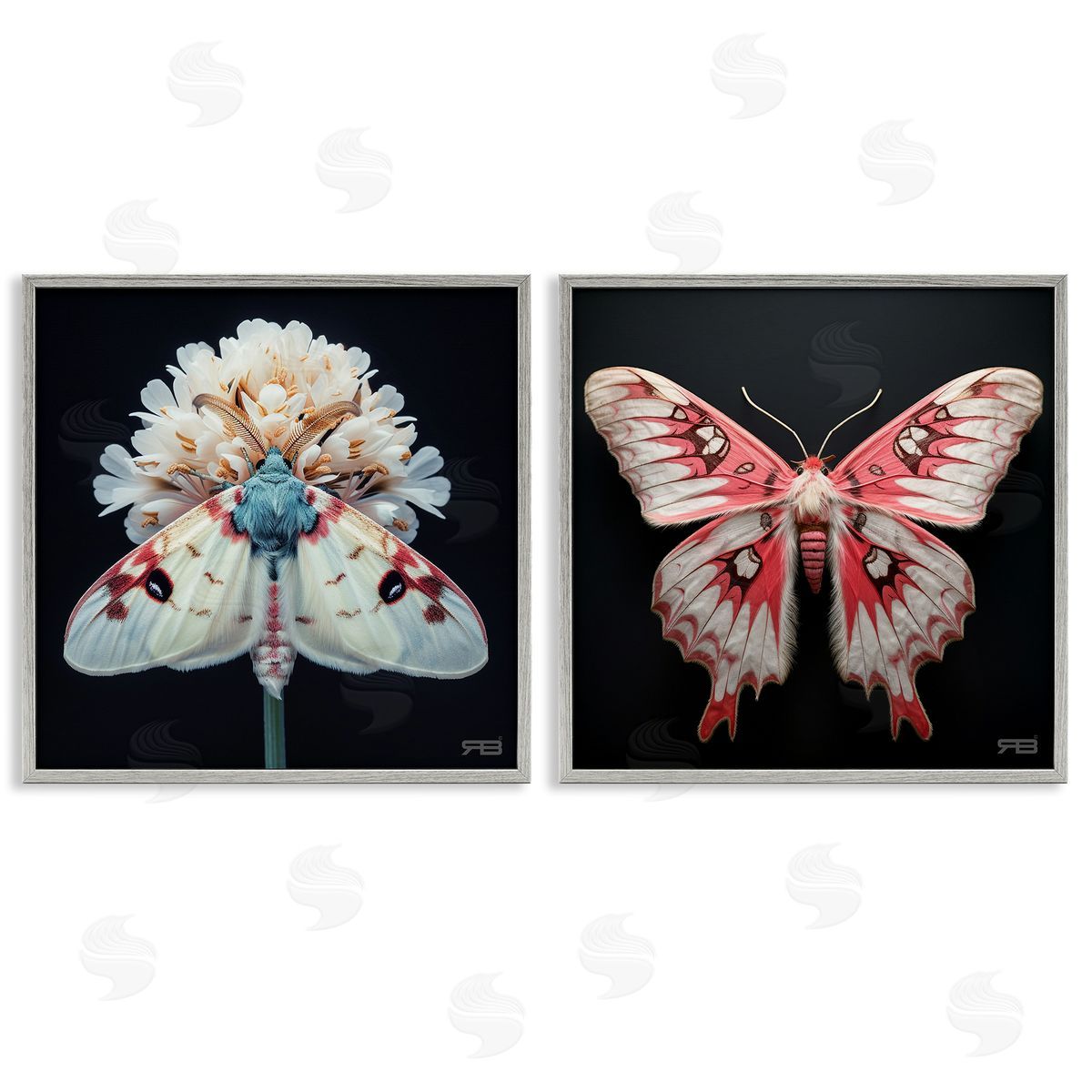 RB Detailed Pink Moths Flower Gray Framed Giclee Wall Art Print