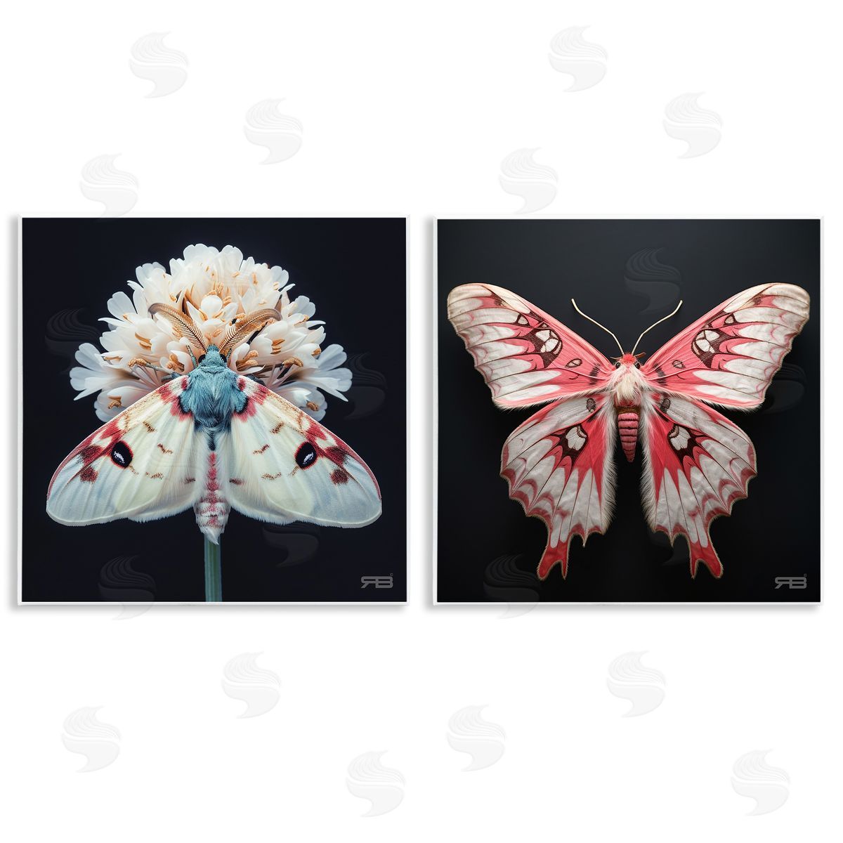 RB Detailed Pink Moths Flower Wooden Wall Plaque Art Print
