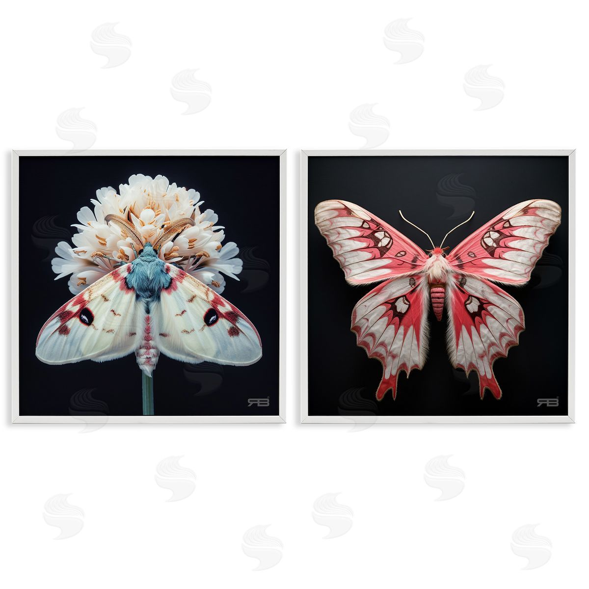 RB Detailed Pink Moths Flower White Framed Giclee Wall Art Print