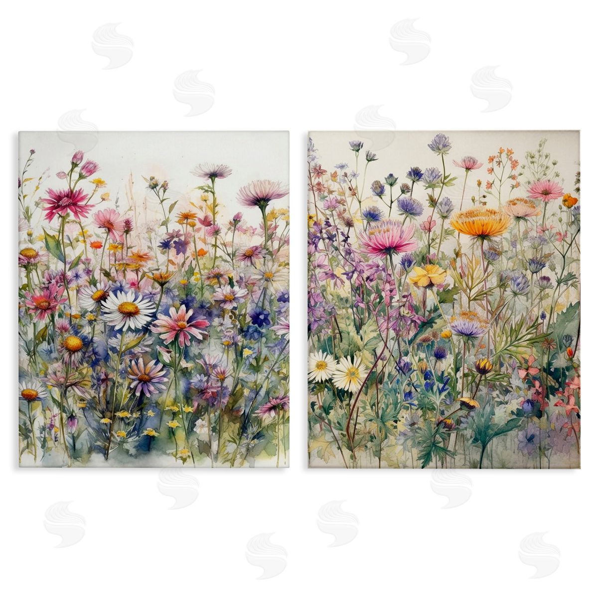 Ryley Gray Watercolor Daisy & Aster Field Canvas Wall Art Print
