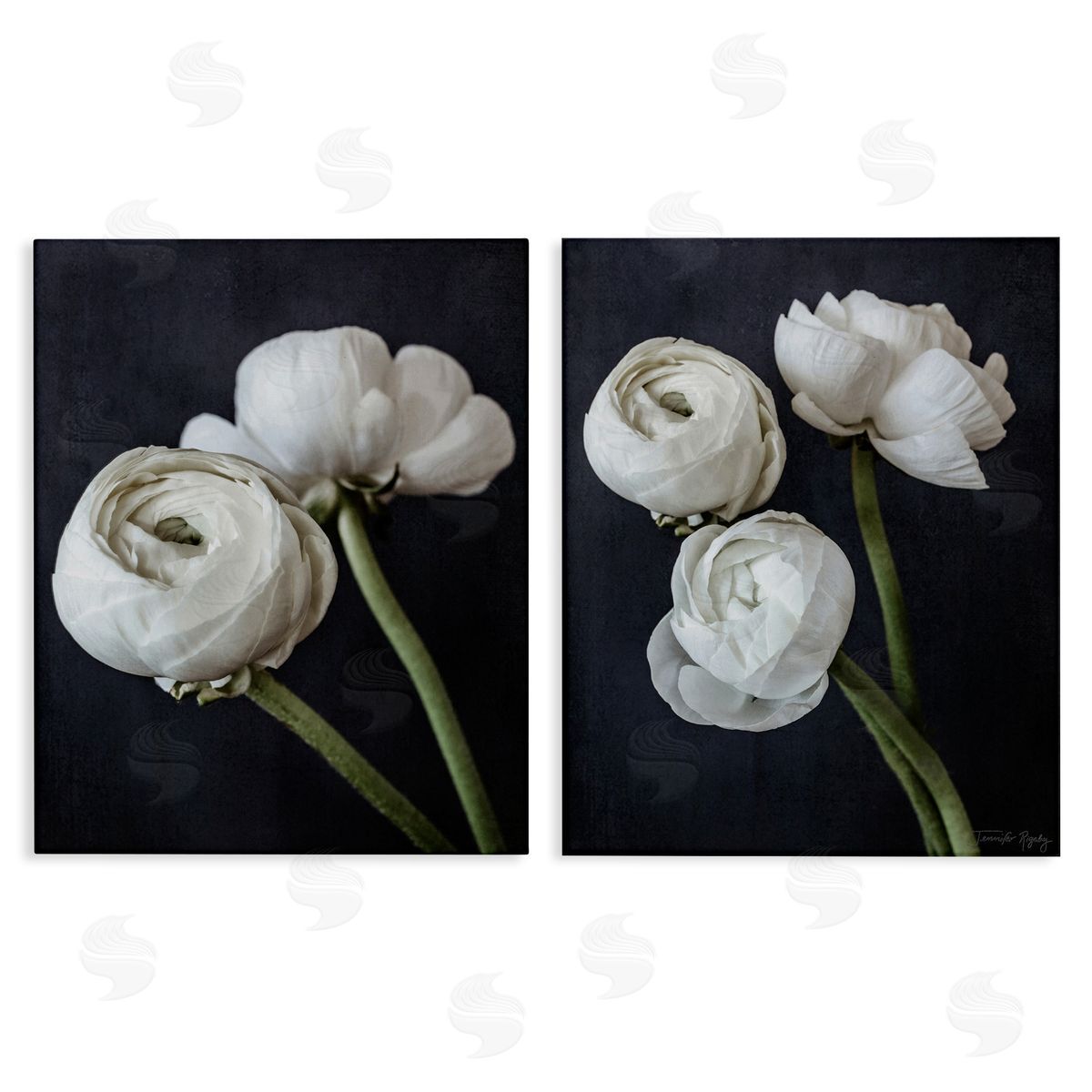 Jennifer Rigsby Simple Black & White Peony Canvas Wall Art Print