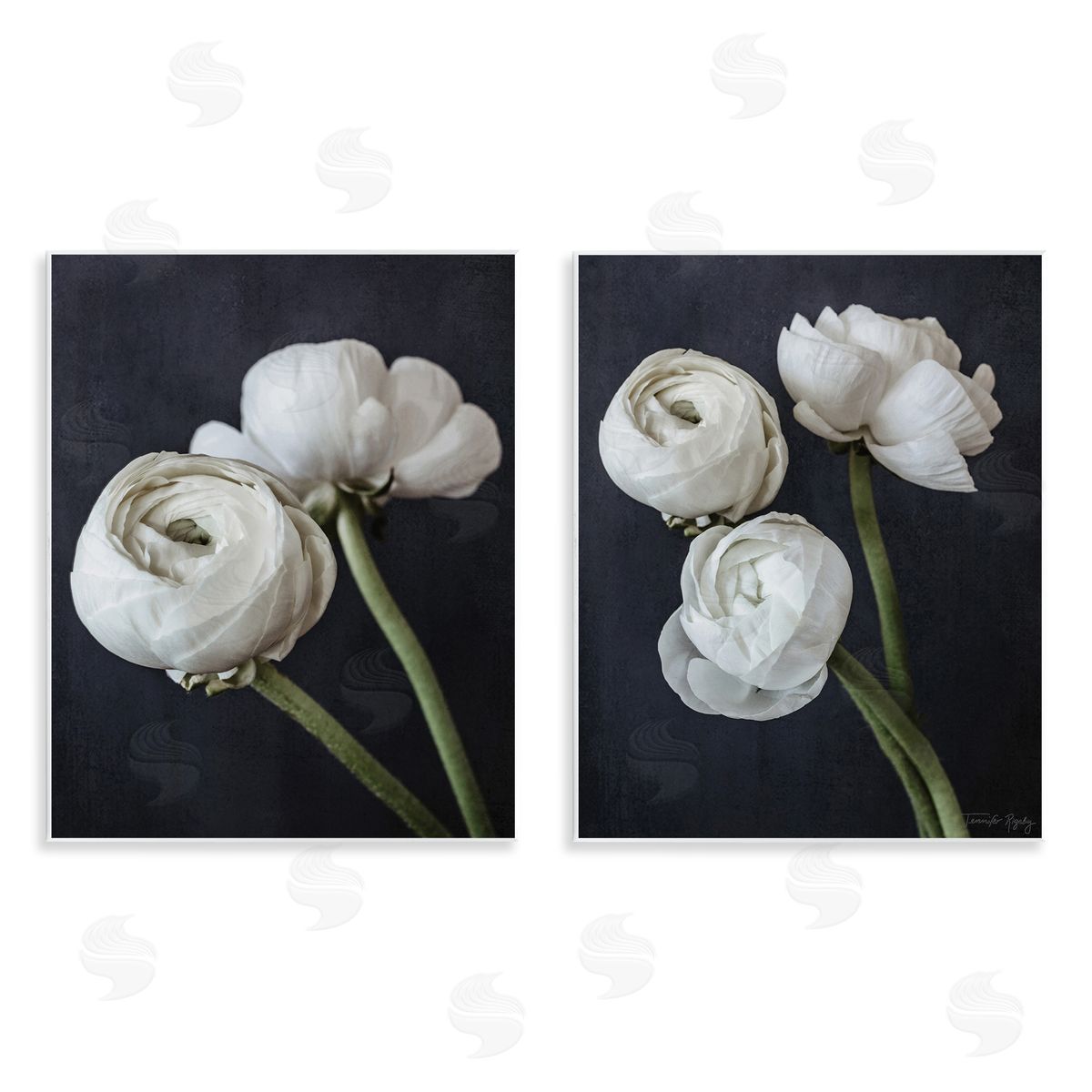 Jennifer Rigsby Simple Black & White Peony Wooden Wall Plaque Art Print