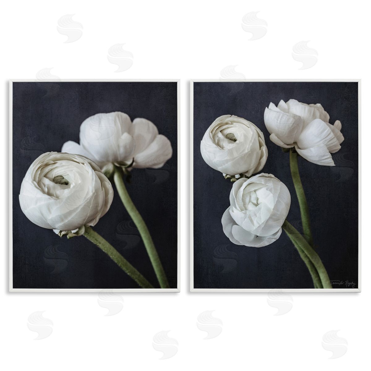Jennifer Rigsby Simple Black & White Peony White Framed Giclee Wall Art Print