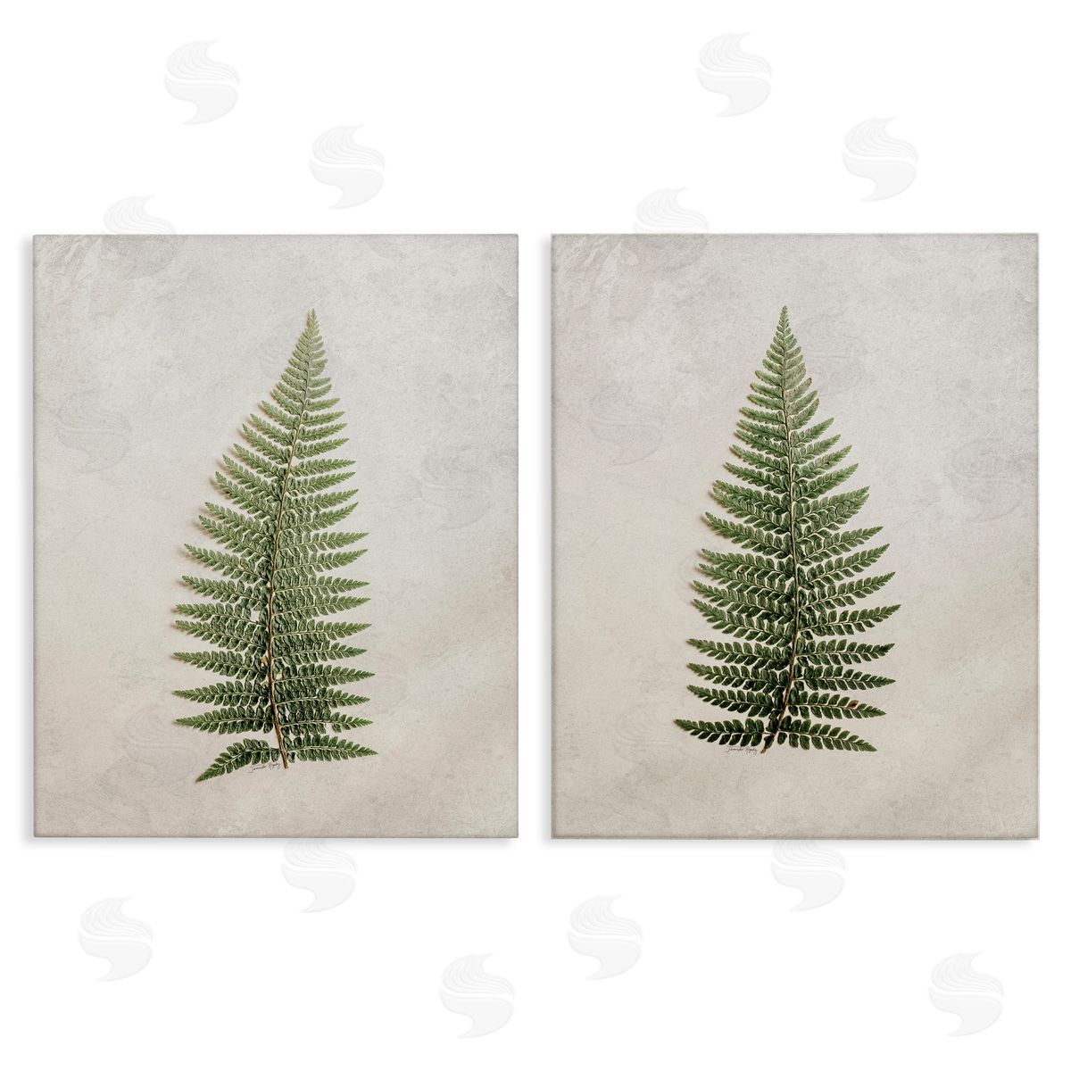 Jennifer Rigsby Realistic Fern Leaves Canvas Wall Art Print