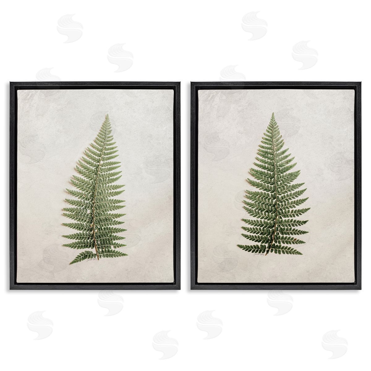 Jennifer Rigsby Realistic Fern Leaves Black Floating Frame Canvas Wall Art Print