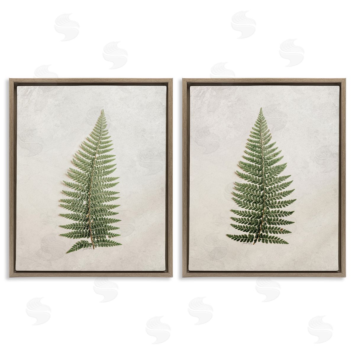 Jennifer Rigsby Realistic Fern Leaves Brown Floating Frame Canvas Wall Art Print