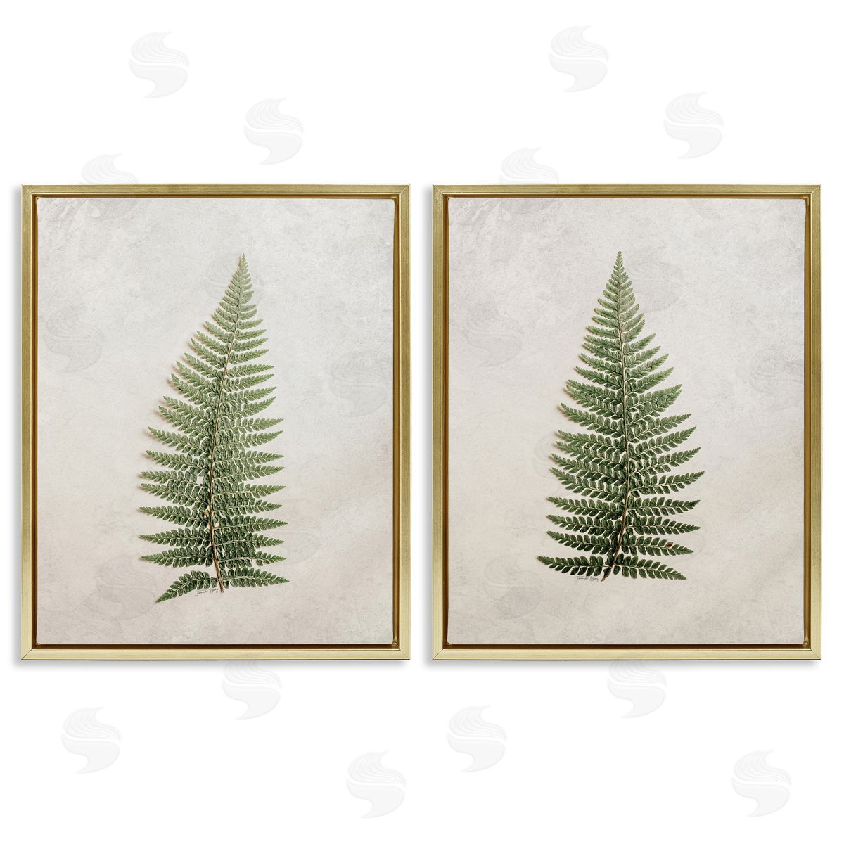 Jennifer Rigsby Realistic Fern Leaves Gold Floating Frame Canvas Wall Art Print