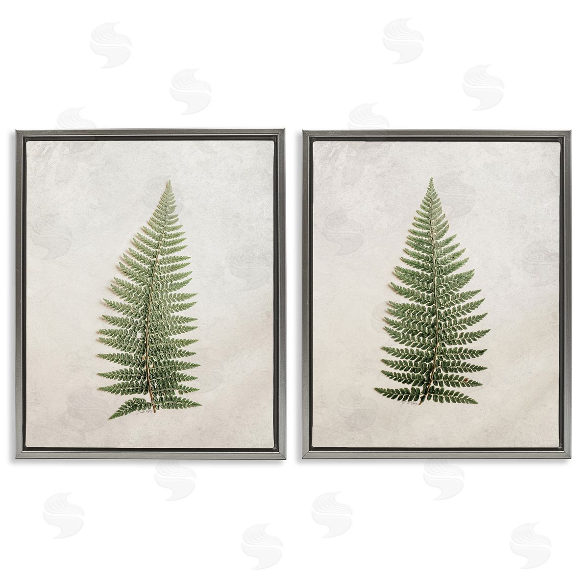 Jennifer Rigsby Realistic Fern Leaves Gray Floating Frame Canvas Wall Art Print