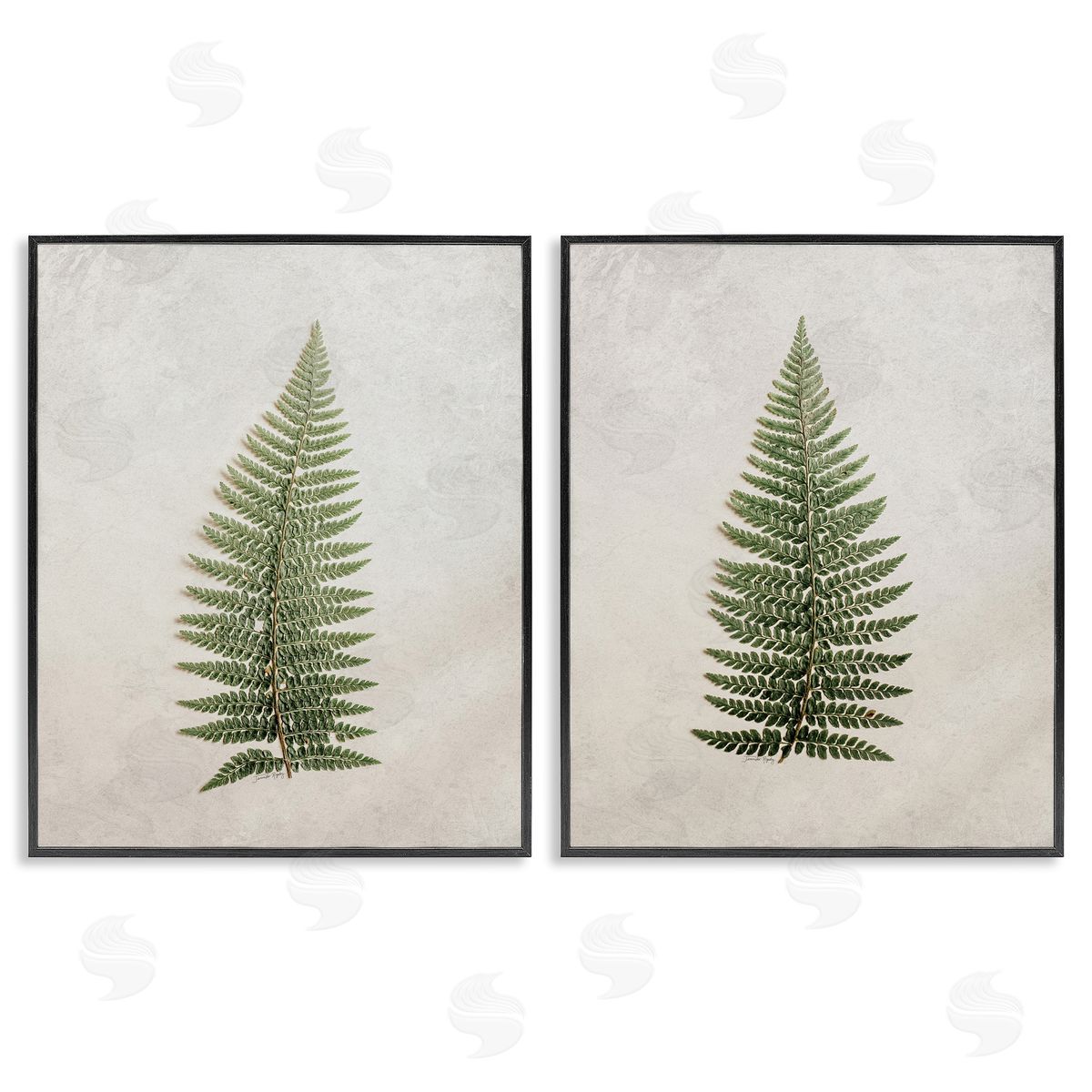 Jennifer Rigsby Realistic Fern Leaves Black Framed Giclee Wall Art Print