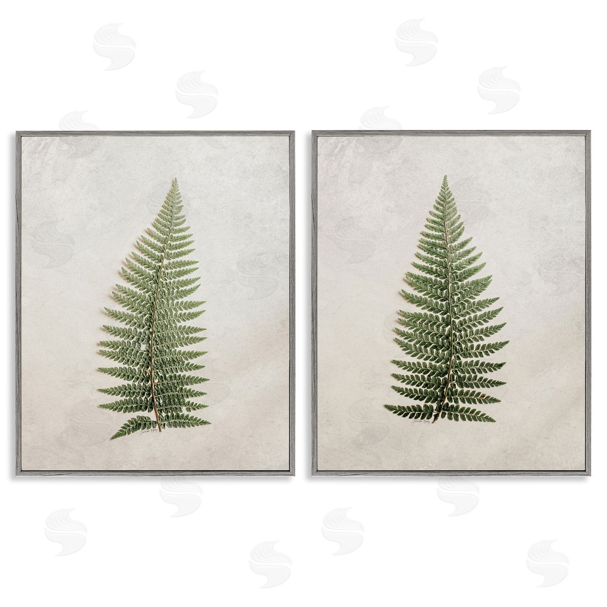 Jennifer Rigsby Realistic Fern Leaves Gray Framed Giclee Wall Art Print