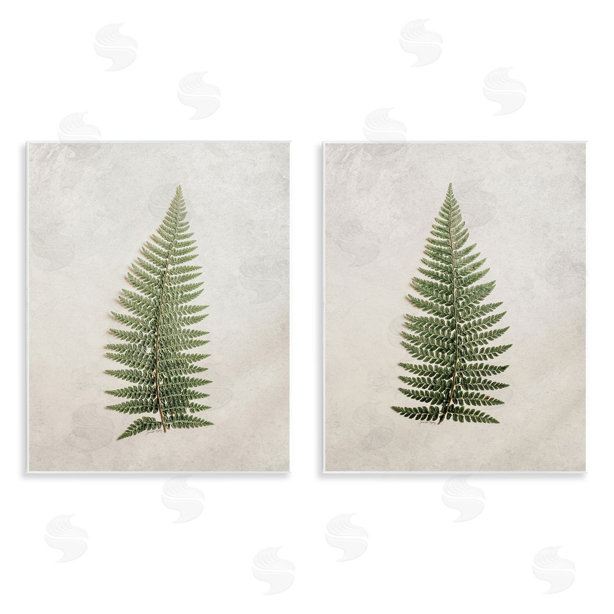 Jennifer Rigsby Realistic Fern Leaves Wooden Wall Plaque Art Print