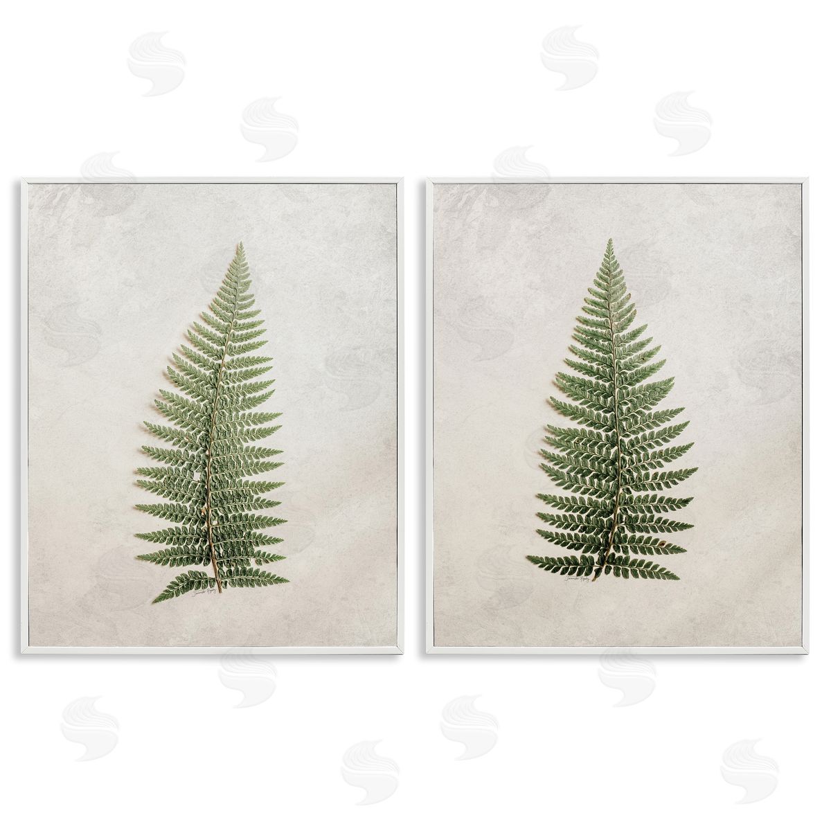 Jennifer Rigsby Realistic Fern Leaves White Framed Giclee Wall Art Print