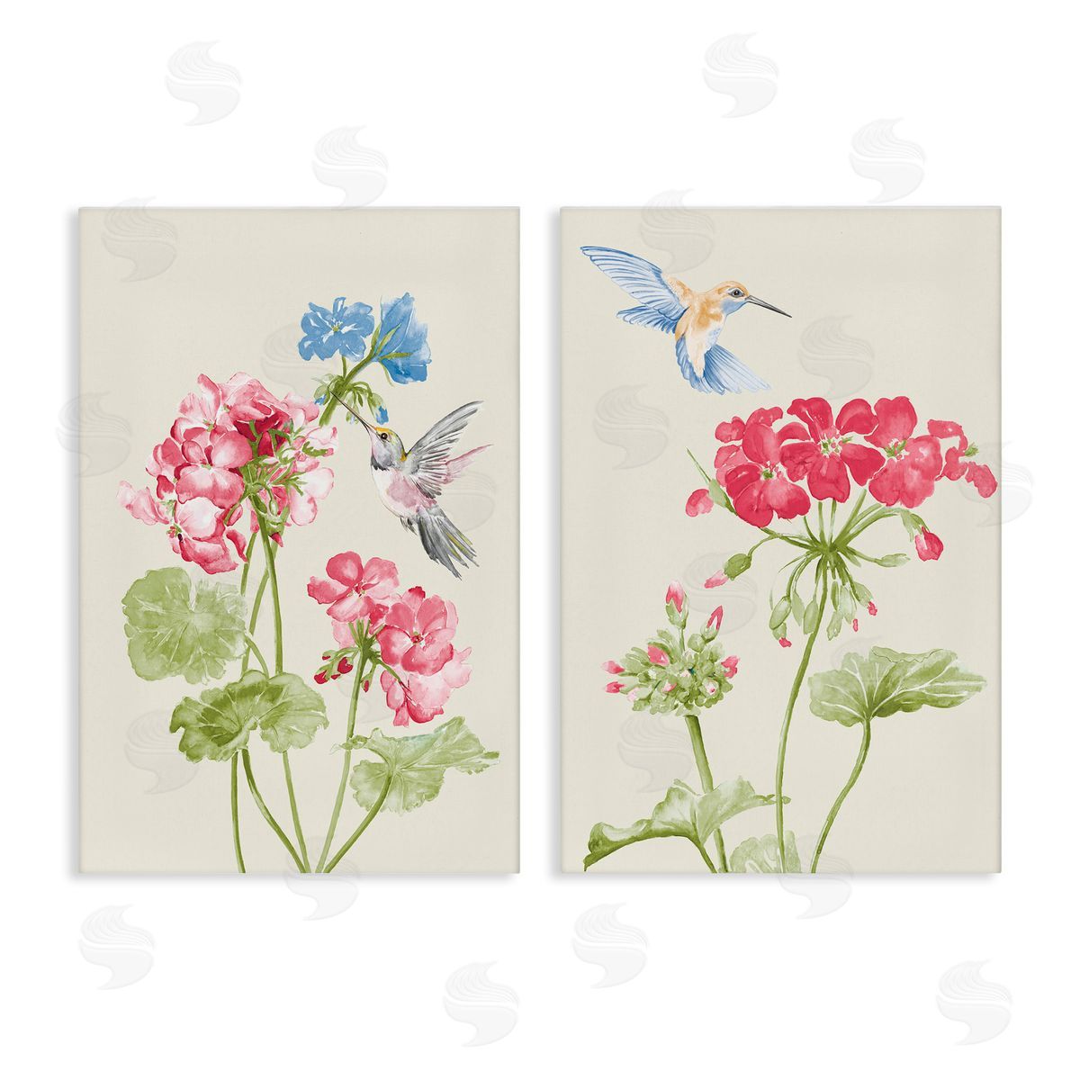 Patricia Pinto Pink Geranium Hummingbirds  Canvas Wall Art Print