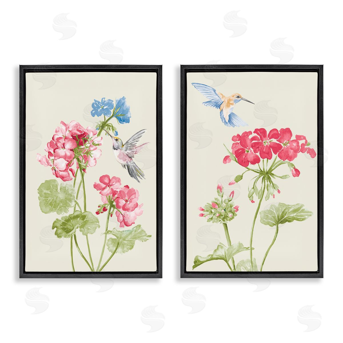 Patricia Pinto Pink Geranium Hummingbirds  Black Floating Frame Canvas Wall Art Print