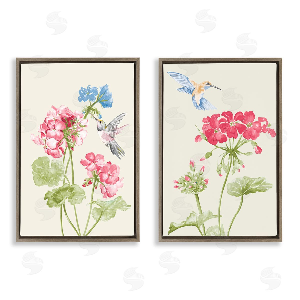 Patricia Pinto Pink Geranium Hummingbirds  Brown Floating Frame Canvas Wall Art Print