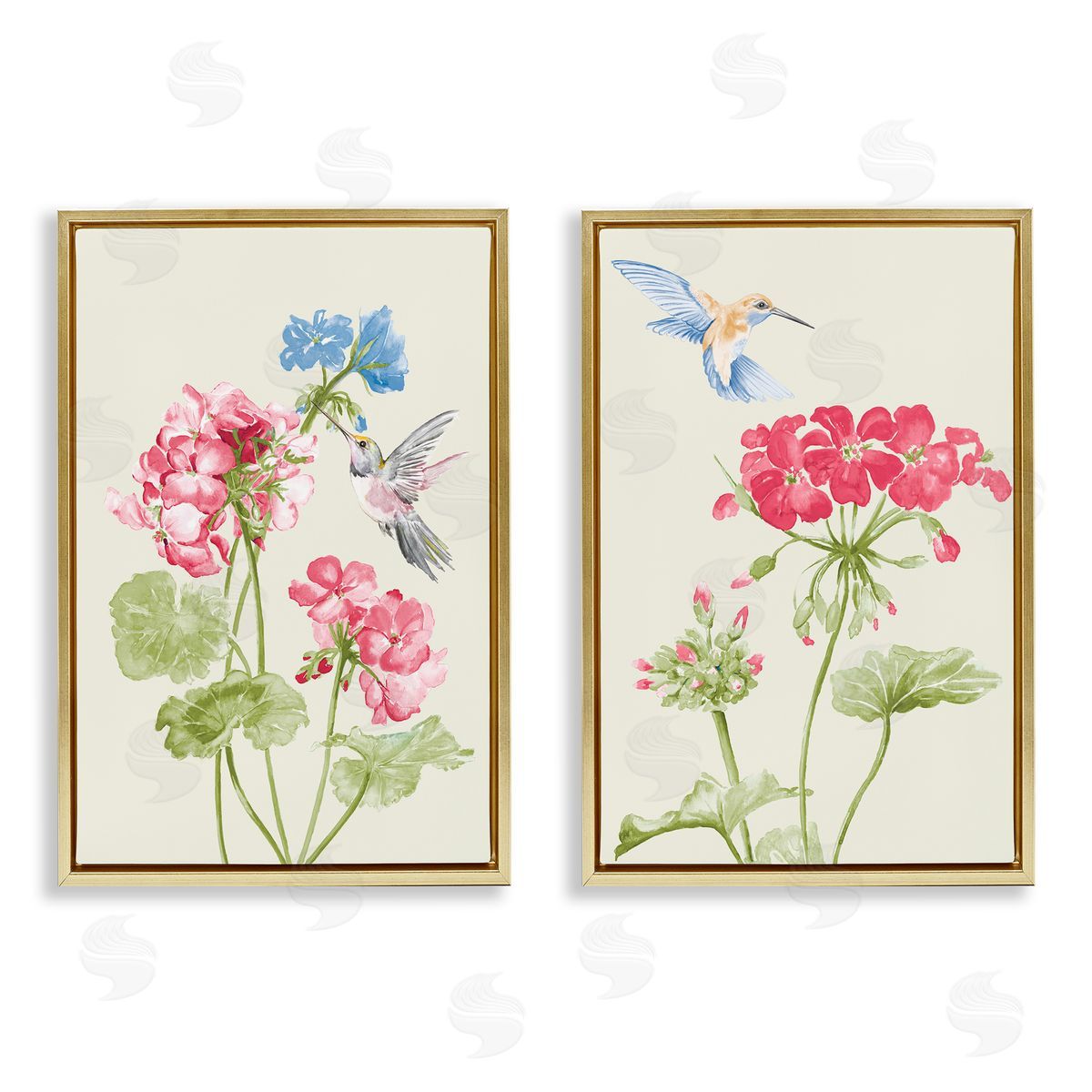 Patricia Pinto Pink Geranium Hummingbirds  Gold Floating Frame Canvas Wall Art Print