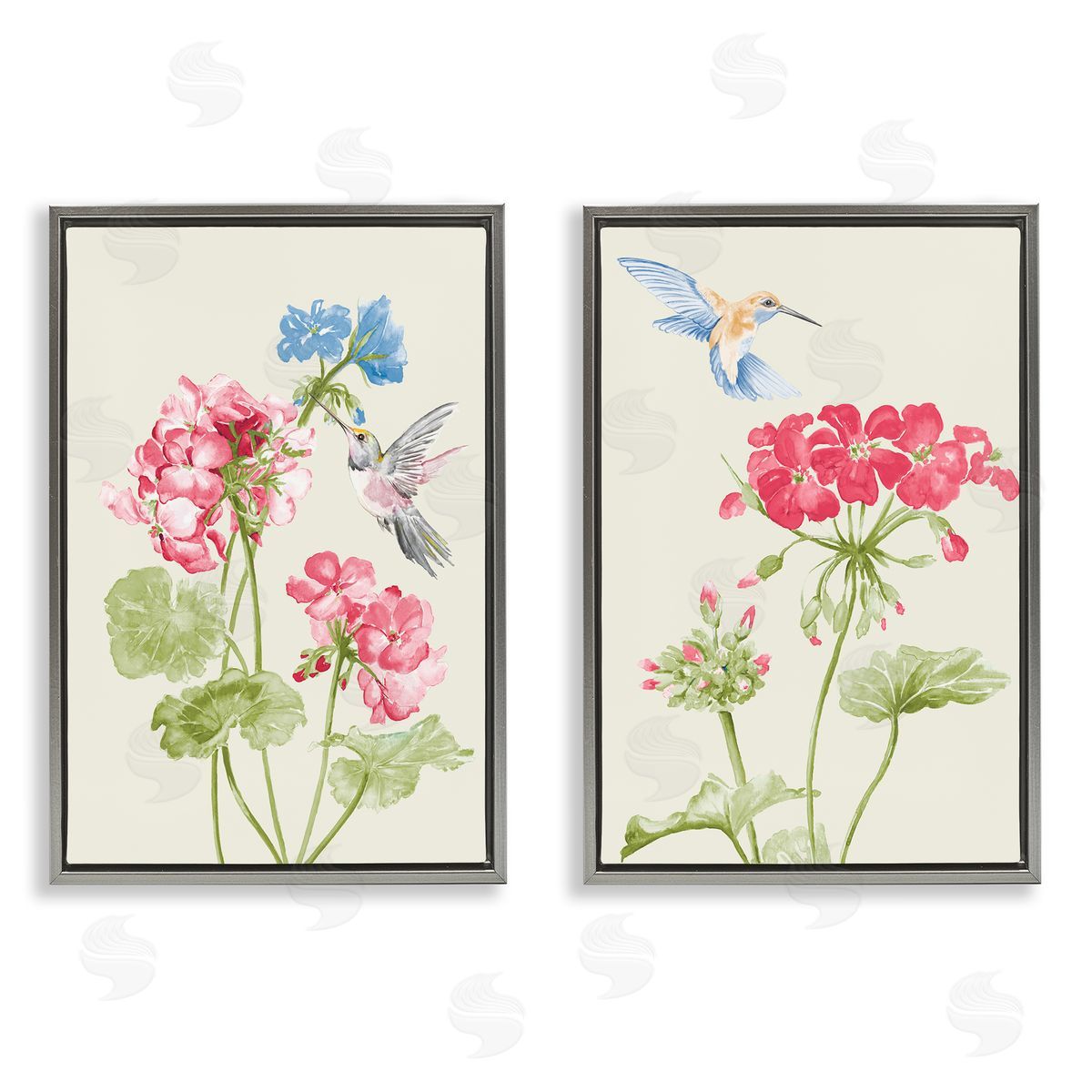 Patricia Pinto Pink Geranium Hummingbirds  Gray Floating Frame Canvas Wall Art Print