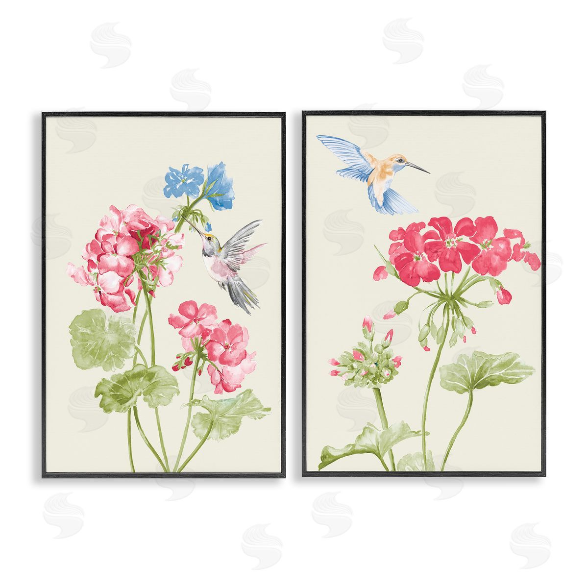 Patricia Pinto Pink Geranium Hummingbirds  Black Framed Giclee Wall Art Print