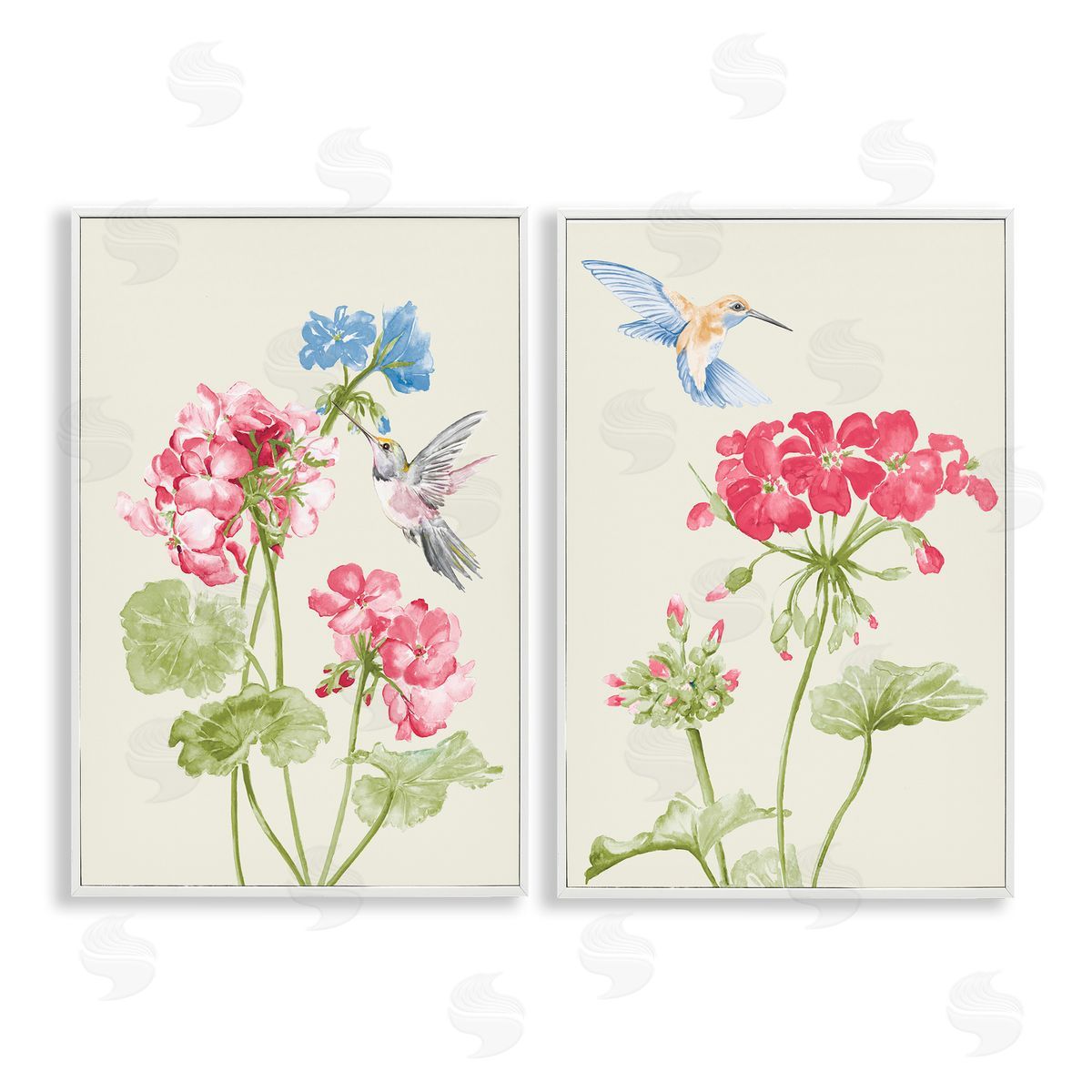 Patricia Pinto Pink Geranium Hummingbirds  White Framed Giclee Wall Art Print