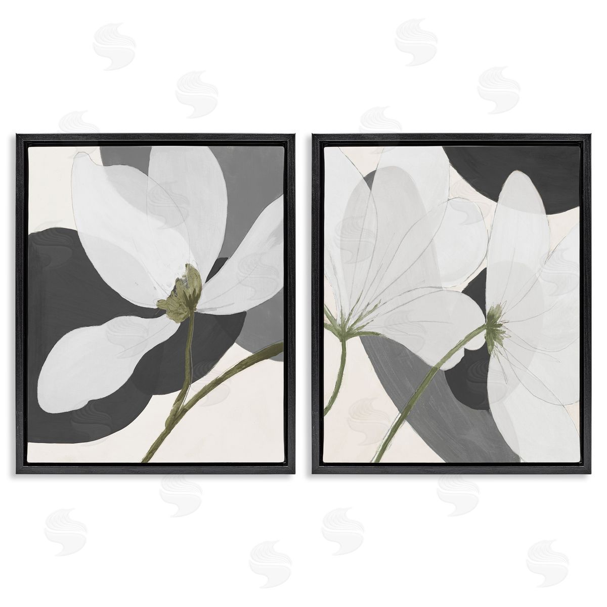 Patricia Pinto Large White Petal Drawing  Black Floating Frame Canvas Wall Art Print