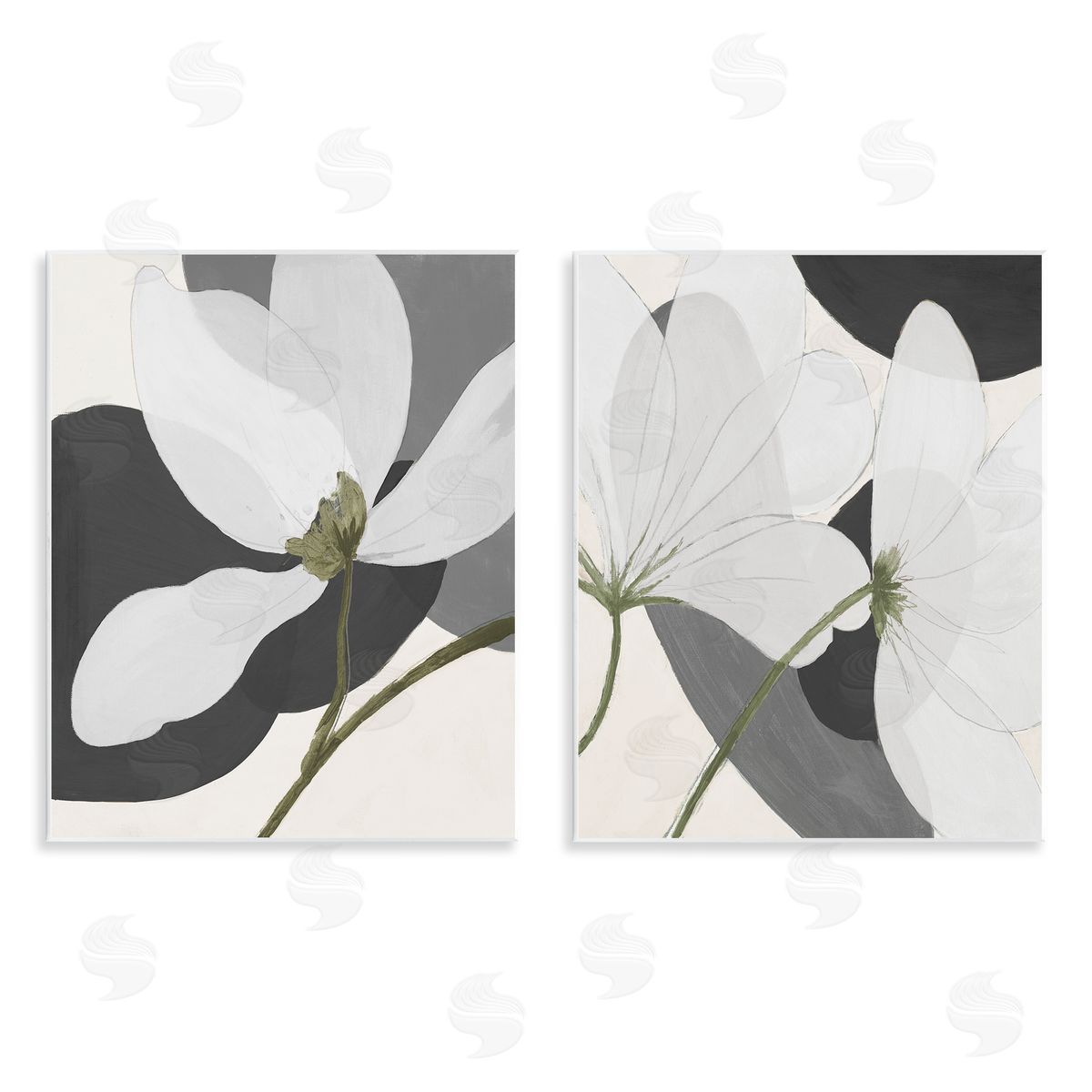 Patricia Pinto Large White Petal Drawing  Wooden Wall Plaque Art Print
