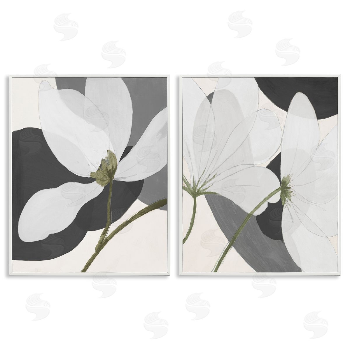 Patricia Pinto Large White Petal Drawing  White Framed Giclee Wall Art Print