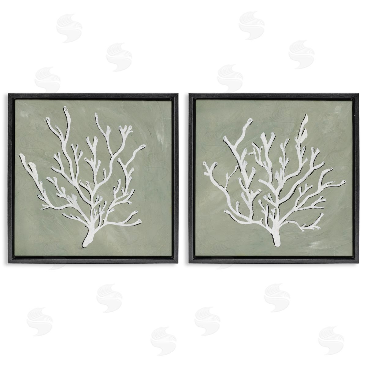 Nola James White Coral Sketch  Black Floating Frame Canvas Wall Art Print