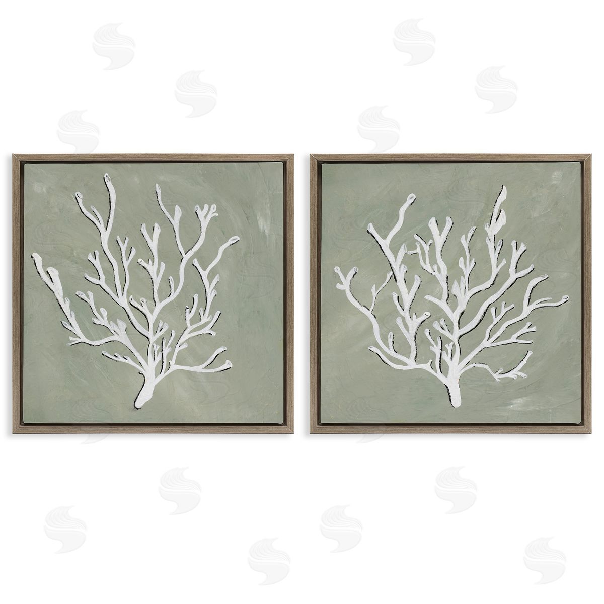 Nola James White Coral Sketch  Brown Floating Frame Canvas Wall Art Print