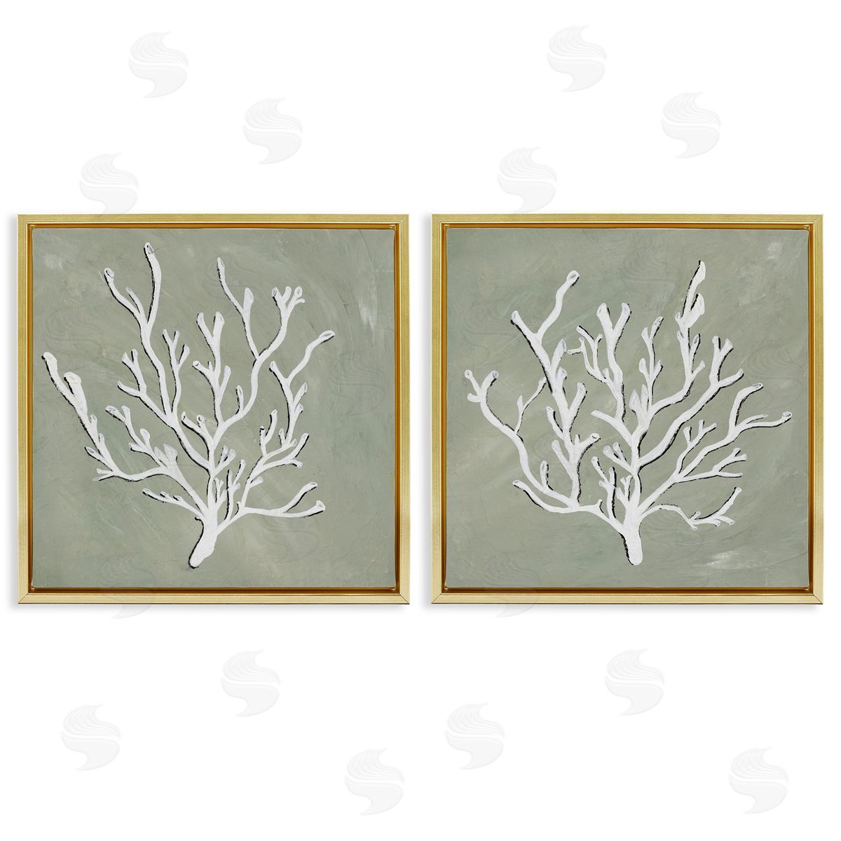 Nola James White Coral Sketch  Gold Floating Frame Canvas Wall Art Print